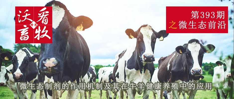 微信图片_20240625112421.jpg